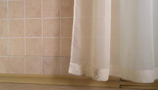  Morris, AL Mold Removal Pros