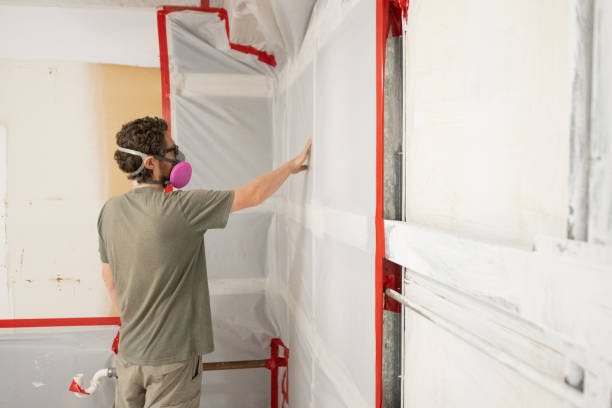 Mold Documentation for Insurance Claims in Morris, AL