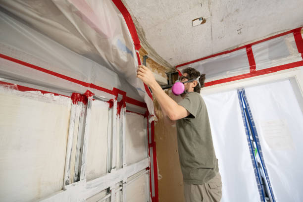 Best Mold Removal for HVAC Installations  in Morris, AL