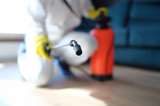 Best Mold Remediation for Healthcare Facilities  in Morris, AL