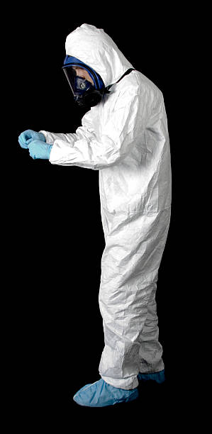 Best Asbestos and Lead Testing During Mold Inspection  in Morris, AL